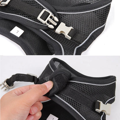 ADJUSTABLE Harness Leash Set